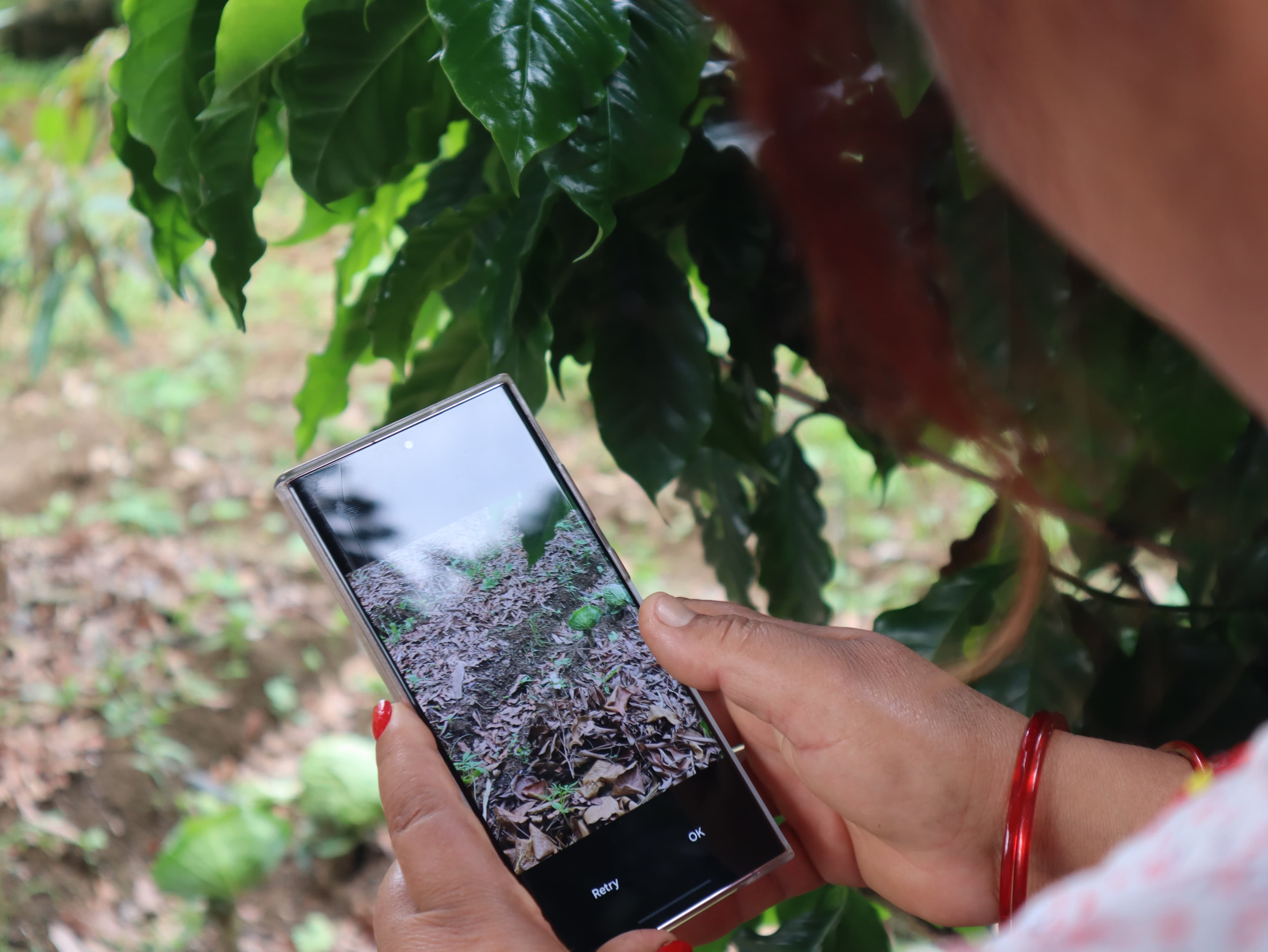 Annual Soil Check Up Camp