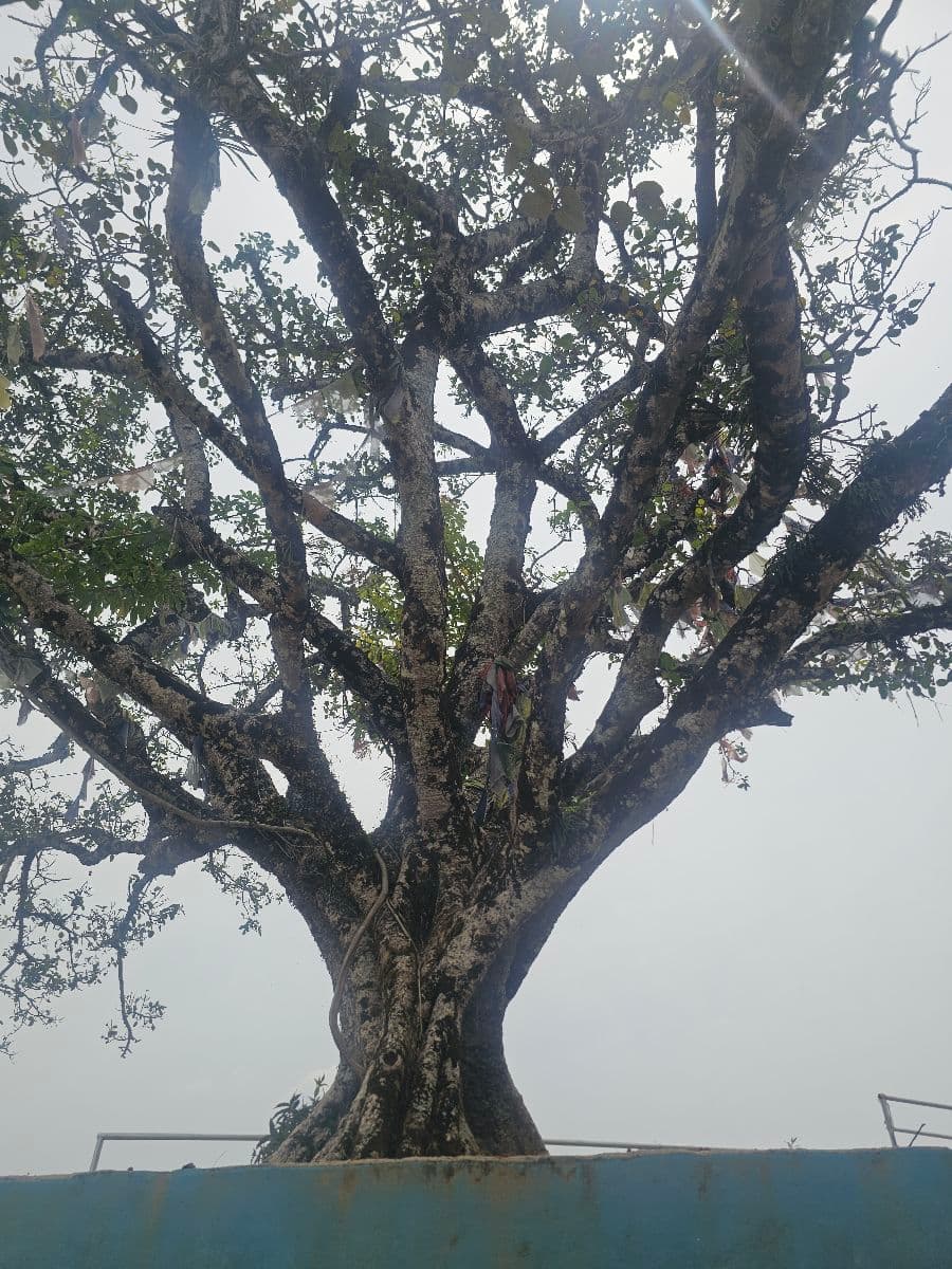 Kapileshwar Mahadev Temple Hike